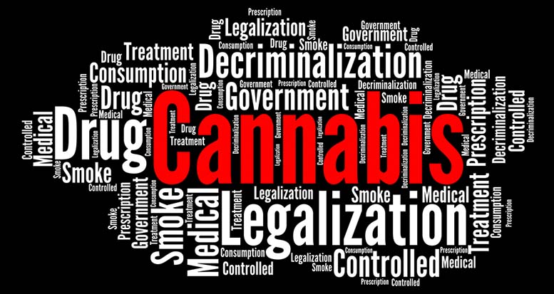 New Jersey cannabis decriminalization