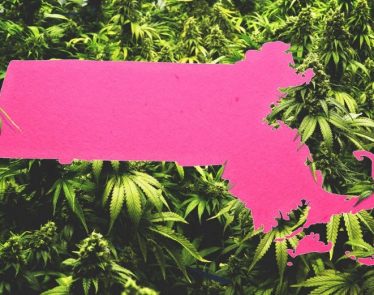Massachusetts recreational cannabis