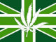 medical marijuana should be legal in the UK