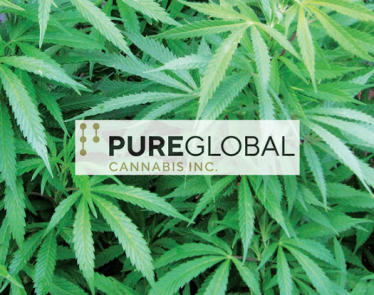 Pure Global Cannabis Inc.