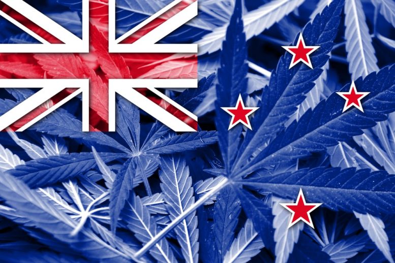 New Zealand cannabis
