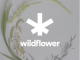 Wildflower Brands Inc