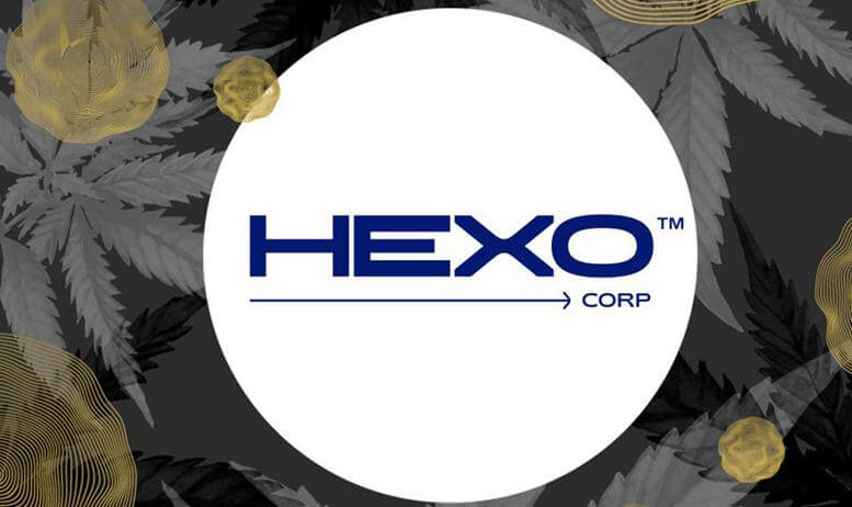 hexo stock