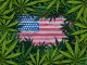 US Cannabis Legislation