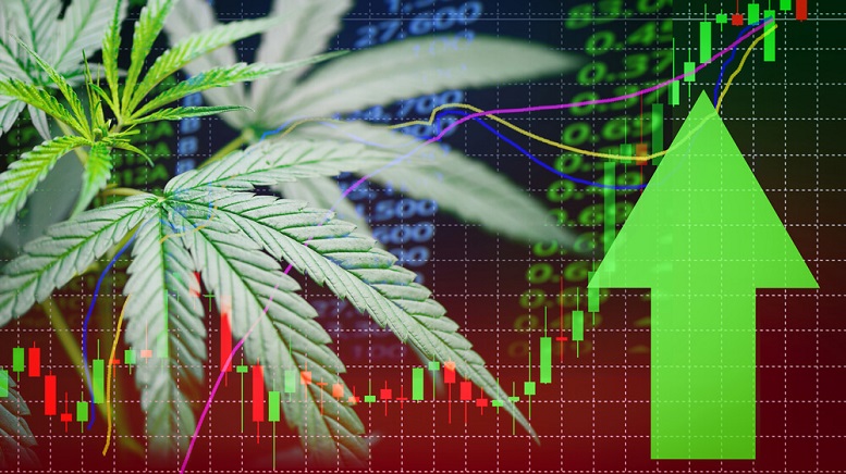 best cannabis stocks 2019