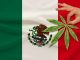 Mexico Cannabis