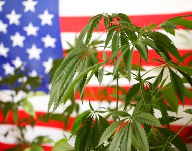 US cannabis market