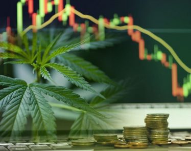 cannabis penny stocks