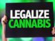 French Senators Demand Immediate Cannabis Legalization, And Not Just Its Decriminalization